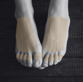 Pies